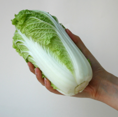 KITAJSKI KAPUS Wawa Tsai F1