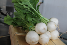 REPA Tokyo Siky Sweet F1